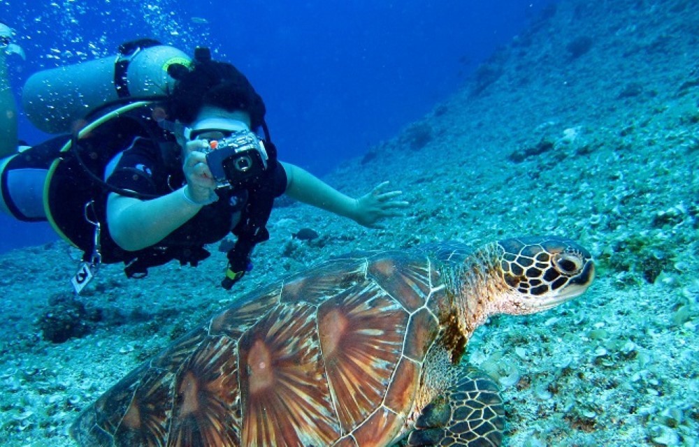 Last Minute Trip Hostel Morjim – By The Sea